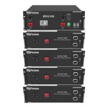 Блок батарей Dyness HV51100-4 20.48kW 204.8V 100Ah LiFePO4 BDU100 RACK Купити - фото 1